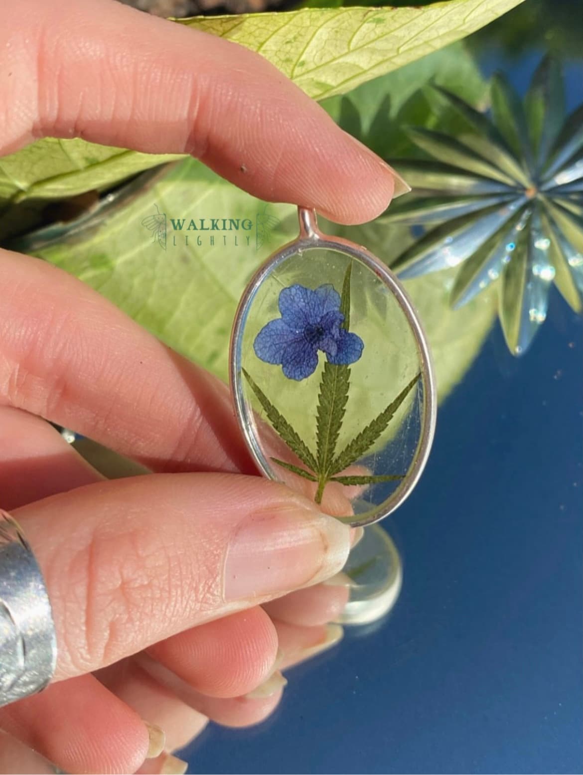 Hydrangea & Sativa Leaf