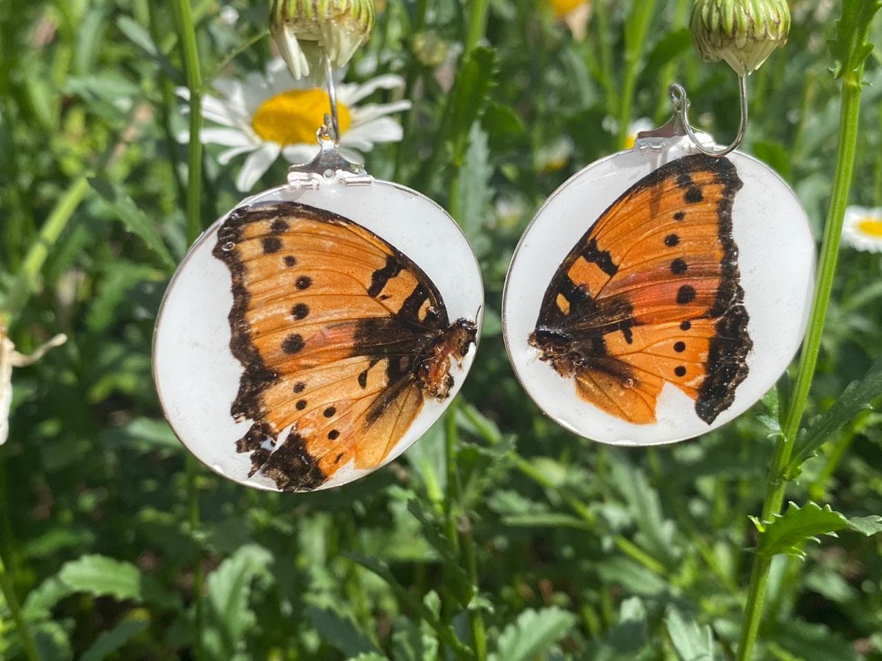 Daisy Disc & Butterfly Earrings 3