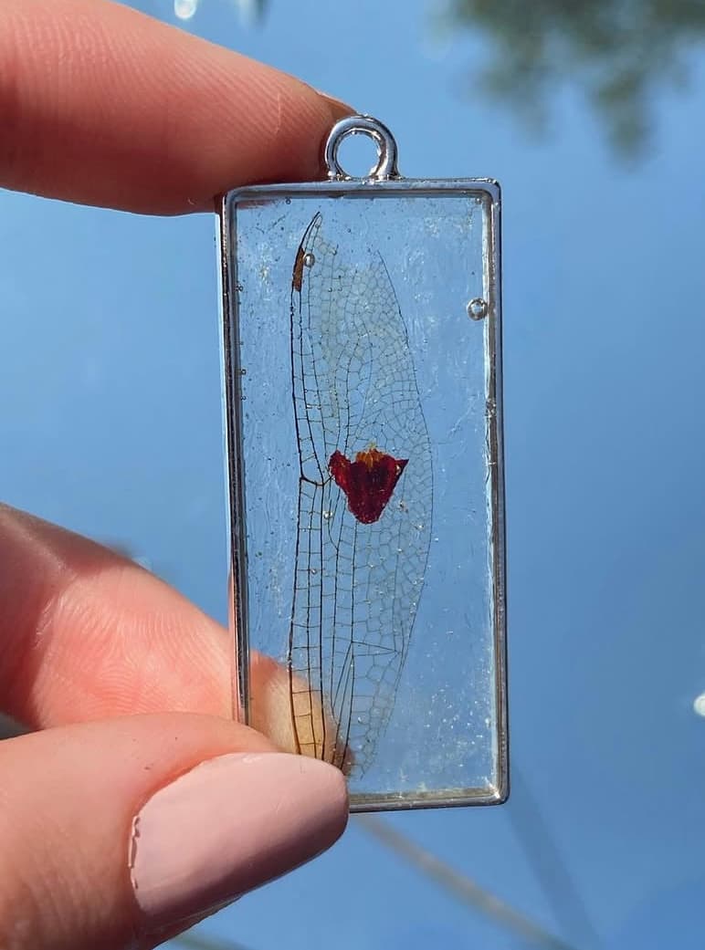 Dragonfly Wing & Flower 2