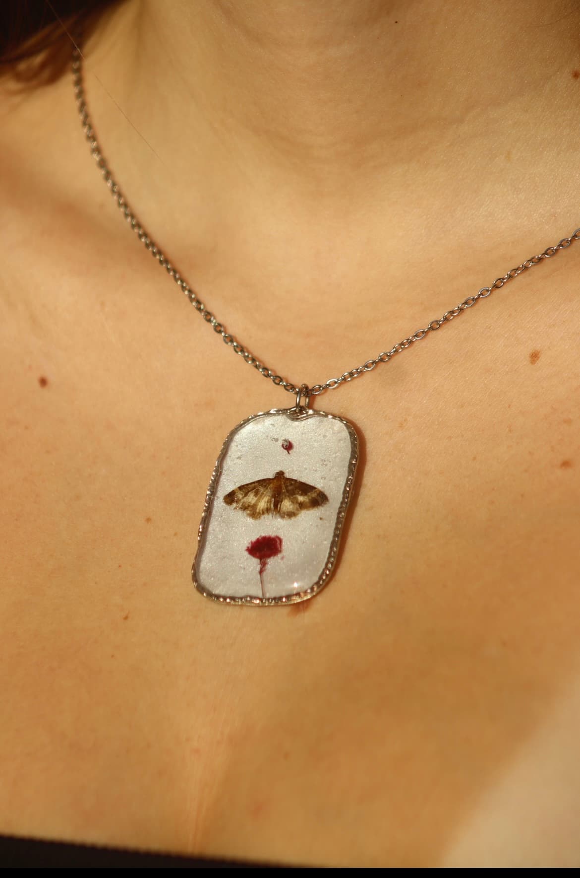Moth & Pressed Flower