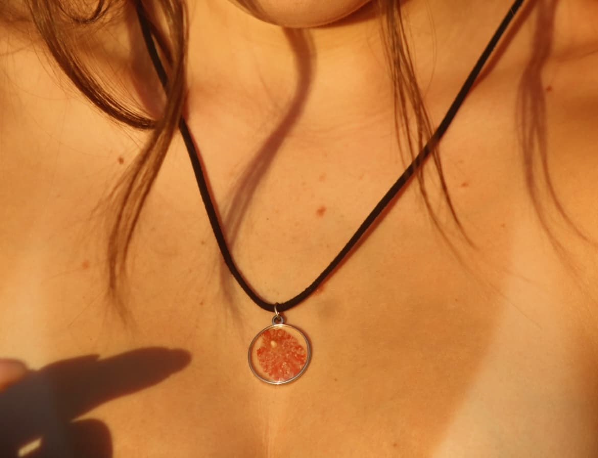 Shell Necklace