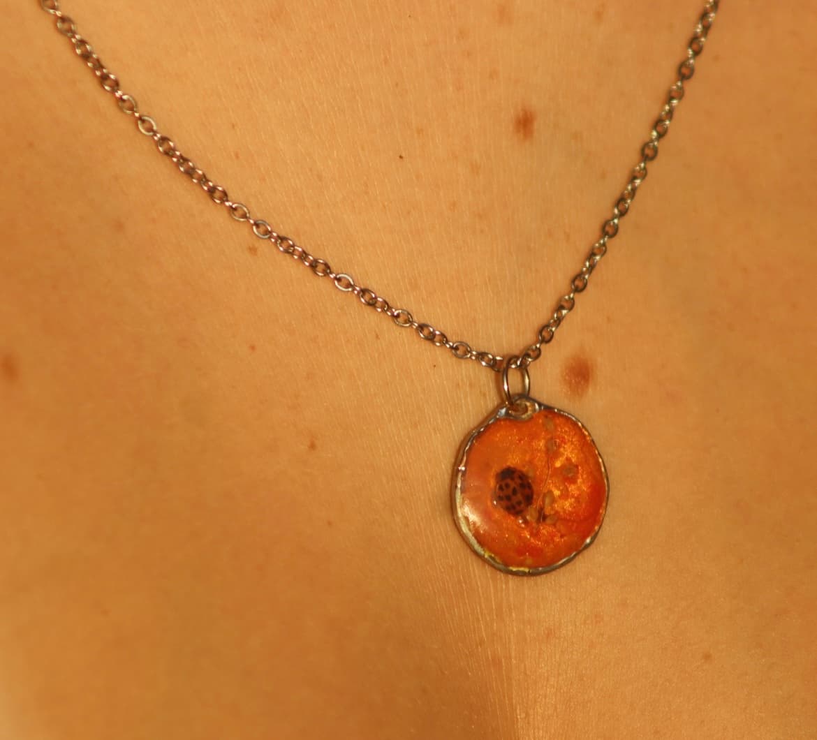Flower & Ladybird